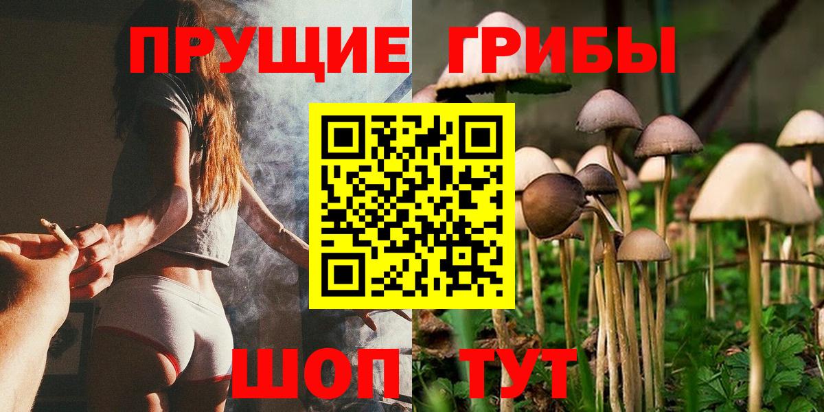 Псилоцибиновые грибы мицелий Лыткарино