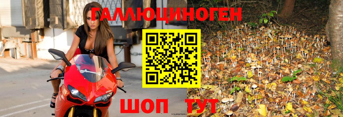 Лыткарино  Галлюциногенные грибы мухоморы  Вход с VPN 